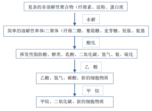厌氧反应流程图-华夏经纬市场调查公司